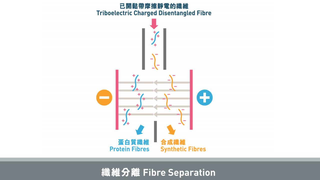 Separation Method of Disentangled Protein/Cellulose/Synthetic Fibres 2