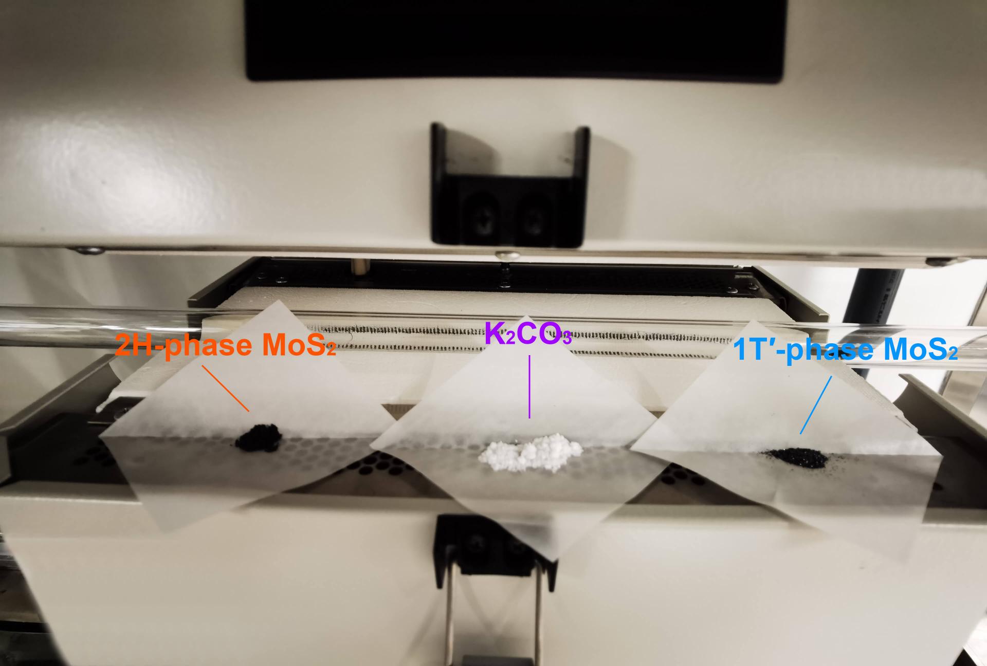 Salt-assisted Phase Transformation of Transition Metal Dichalcogenides