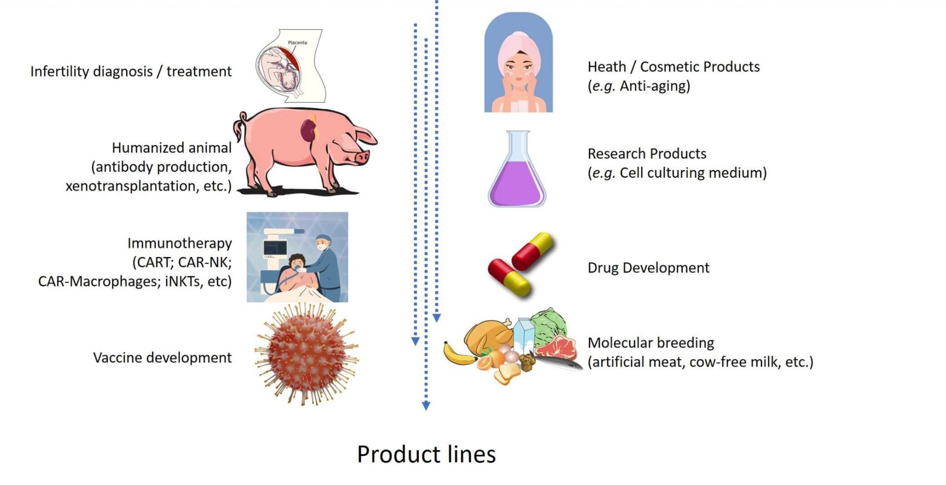 Expanded Potential Stem Cell (EPSC) Technology 