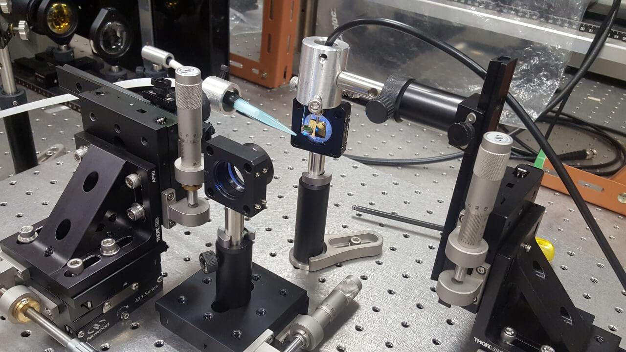 High Sensitive and Selectivity Plasmonic Systems for Ultrafine Particulate Matter (PM) 0.1 and 0.3 Detection