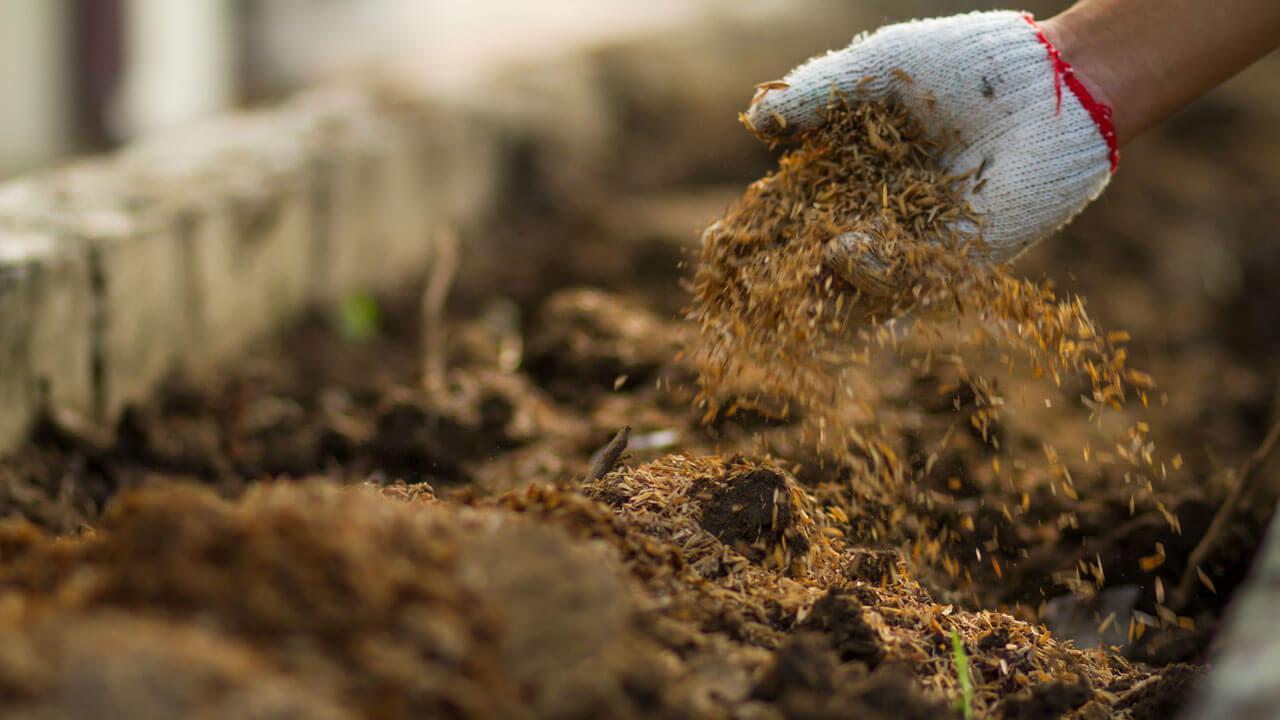 An Enhanced Organic Composting Process for Soil Decontamination 0