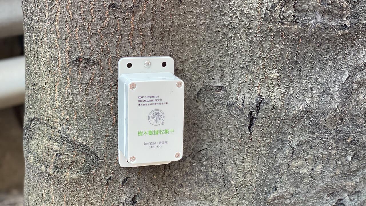 城市树木管理的树木监测系统 0