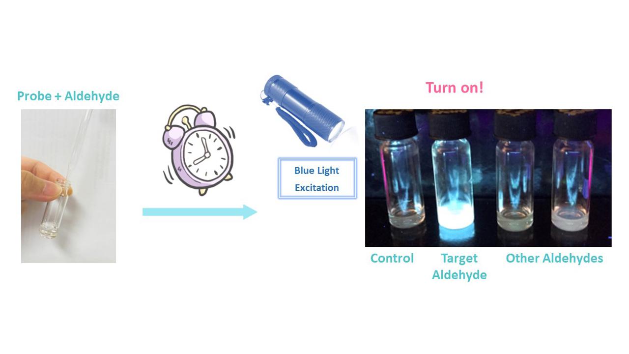 Selective Fluorescent Molecular Probes For Aldehydes