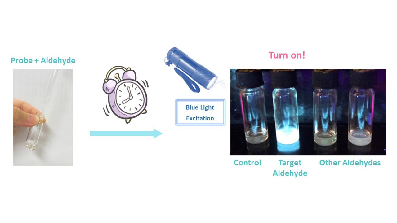 高選擇性醛類螢光分子探針