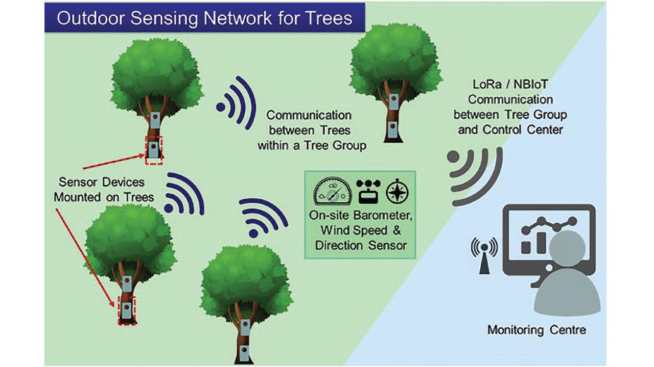 Outdoor IoT Sensing Network and Data Management Platform for Tree Management 2