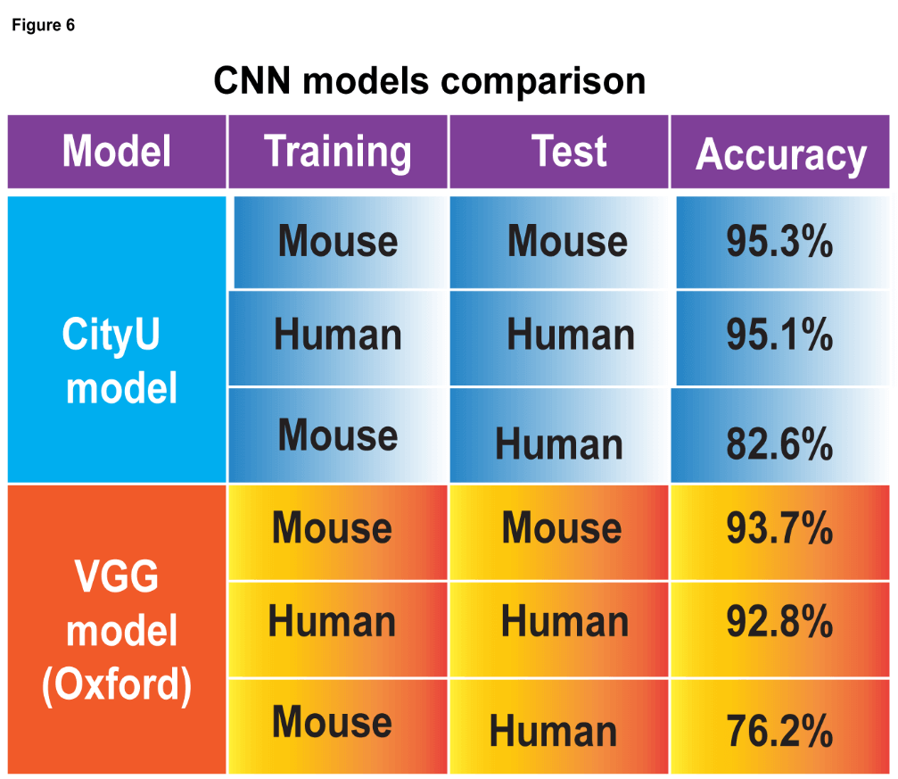 Artificial Intelligence (AI) and Electrocephalogram (EEG)-based Drug's Screening  Platform