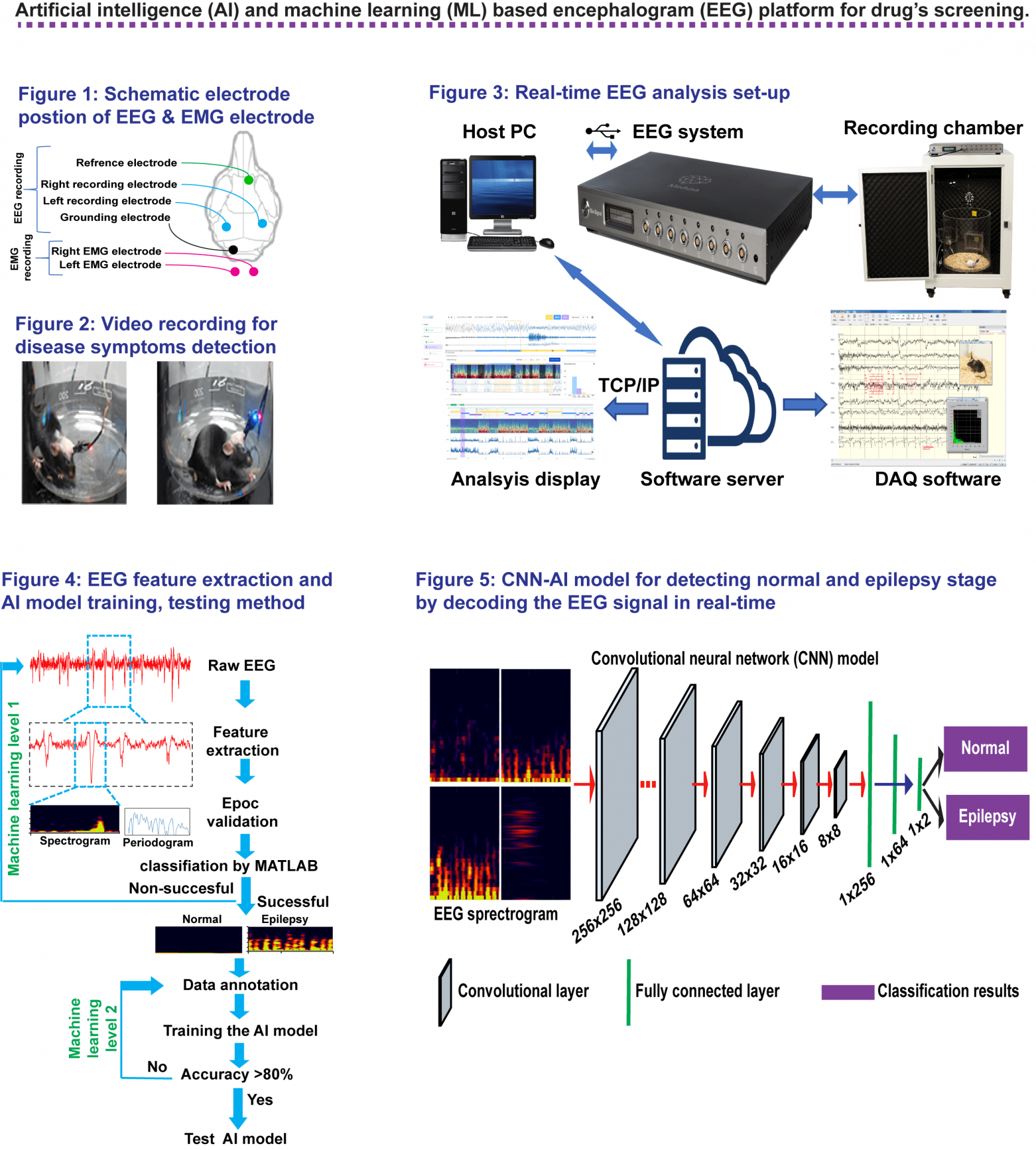 Artificial Intelligence (AI) and Electrocephalogram (EEG)-based Drug's Screening  Platform 1