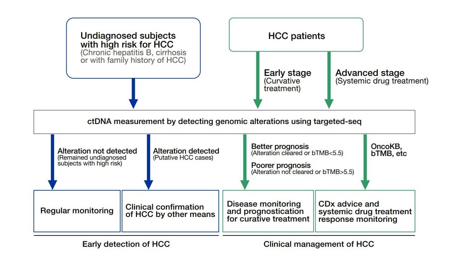 Multi-parameter prediction model for detection and management of liver cancer 1