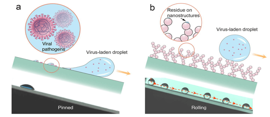 Self-Cleaning Pathogen-Repellent Coatings