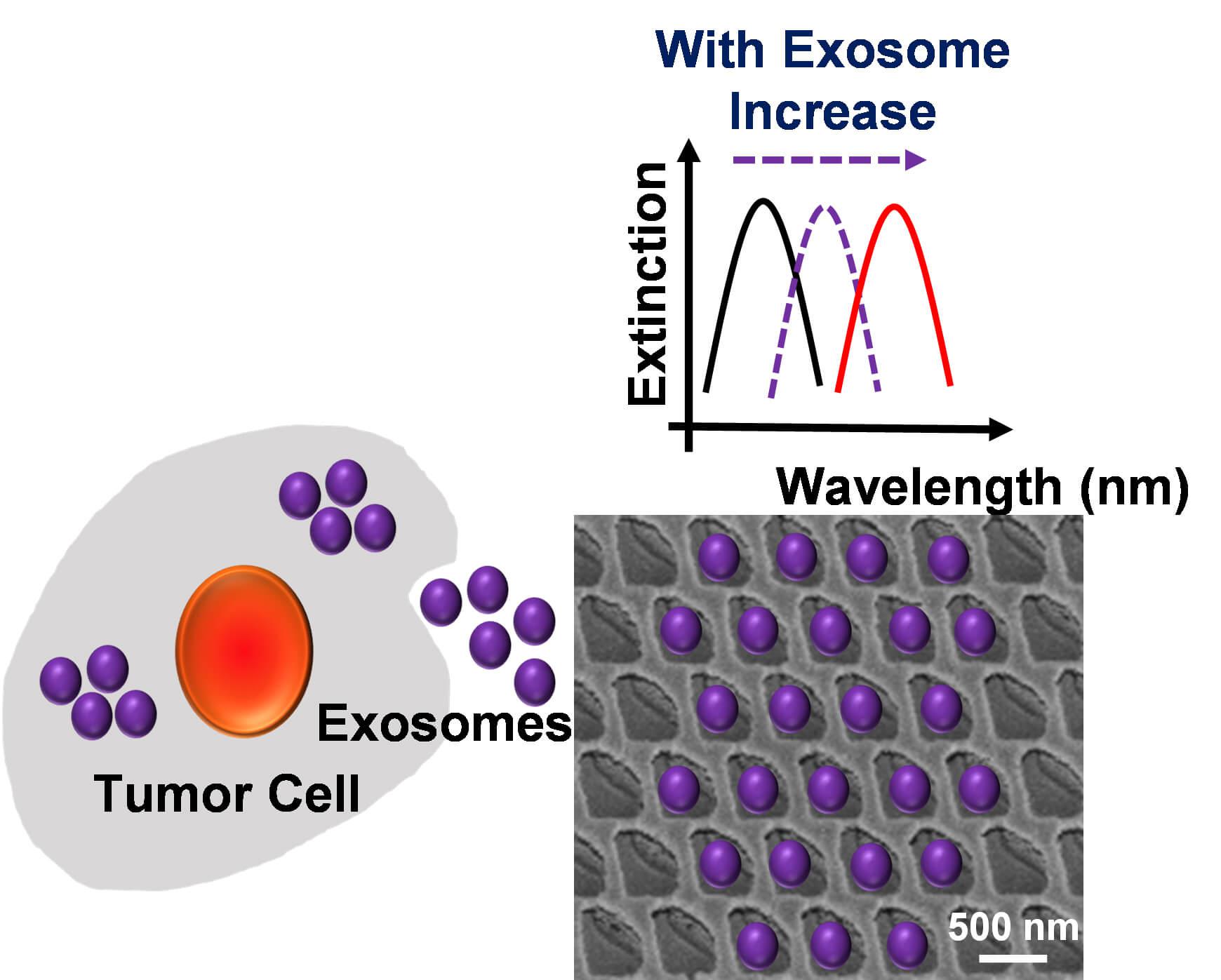 A Microfluidic Biosensing System for Improved Cancer Diagnostics and Screening 0