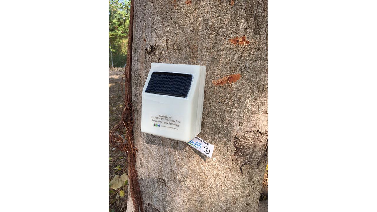Outdoor IoT Sensing Network and Data Management Platform for Tree Management 0