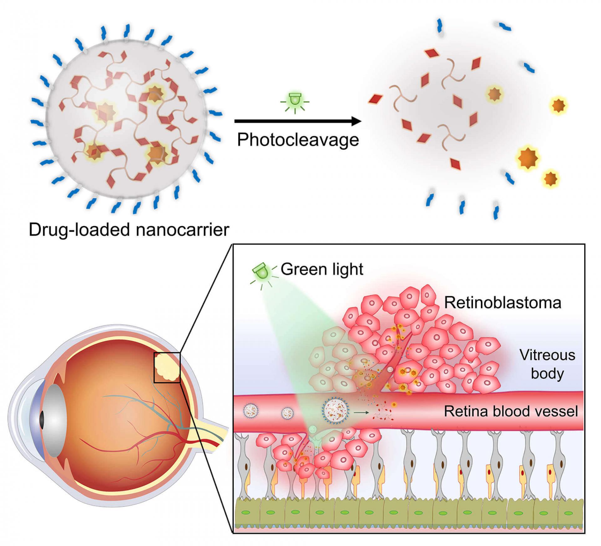 A photoresponsive nano drug delivery system