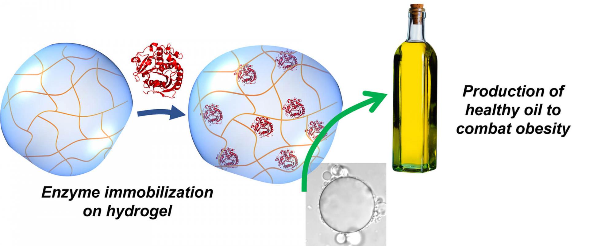 A method to produce healthy oil