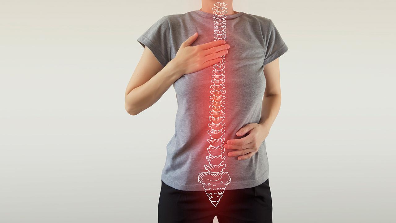 A software for automated compressive vertebral fracture detection on elderly women’s lateral chest radiograph: Ofeye 1.0