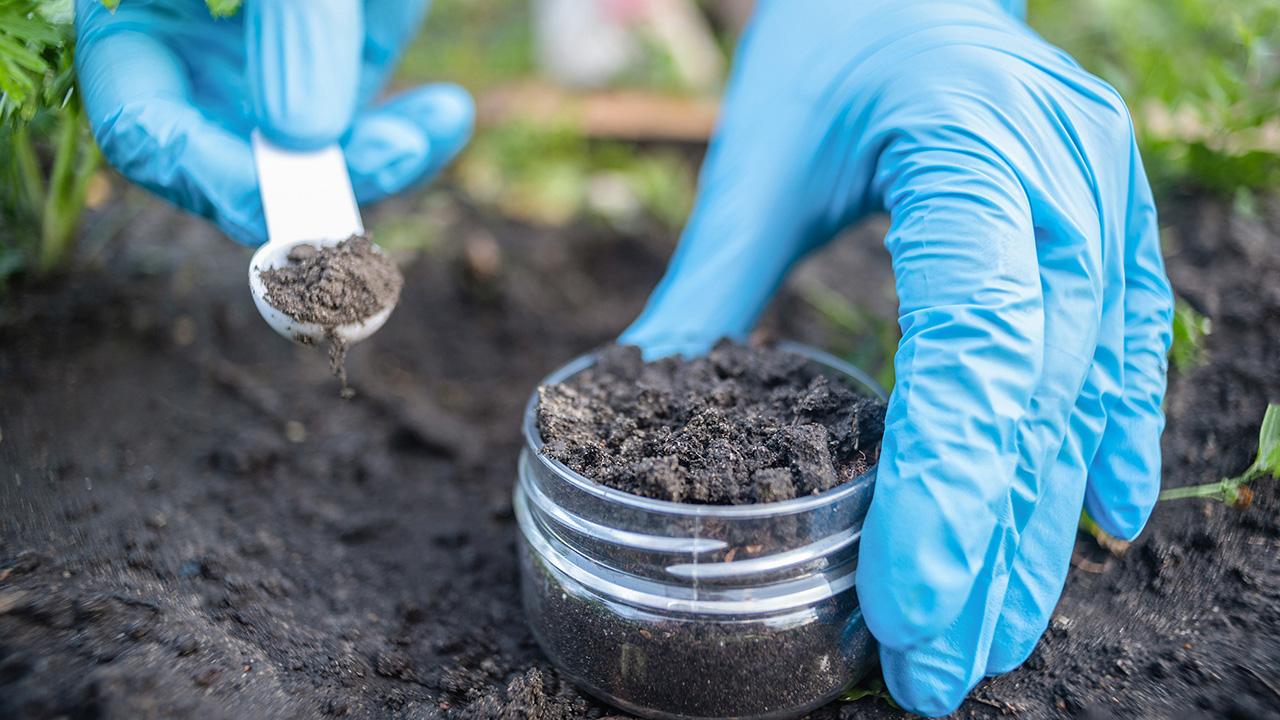 运用微生物群落分解微塑料粒