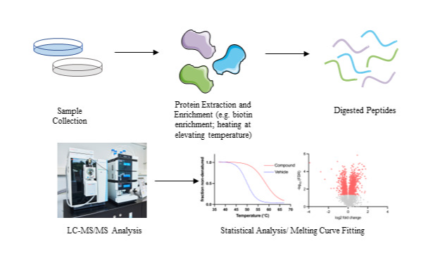 Proteomic Mass Spectrometry Platform for Drug Development Research