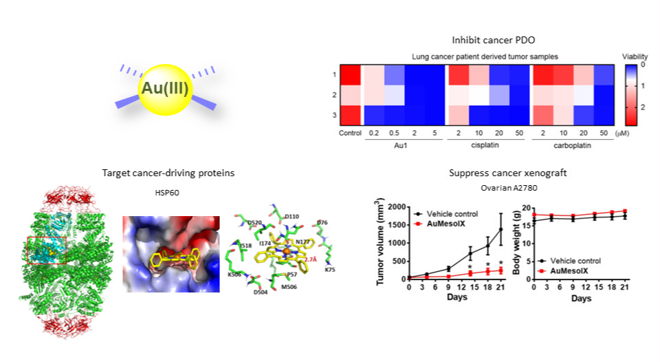 Anticancer Gold Compounds