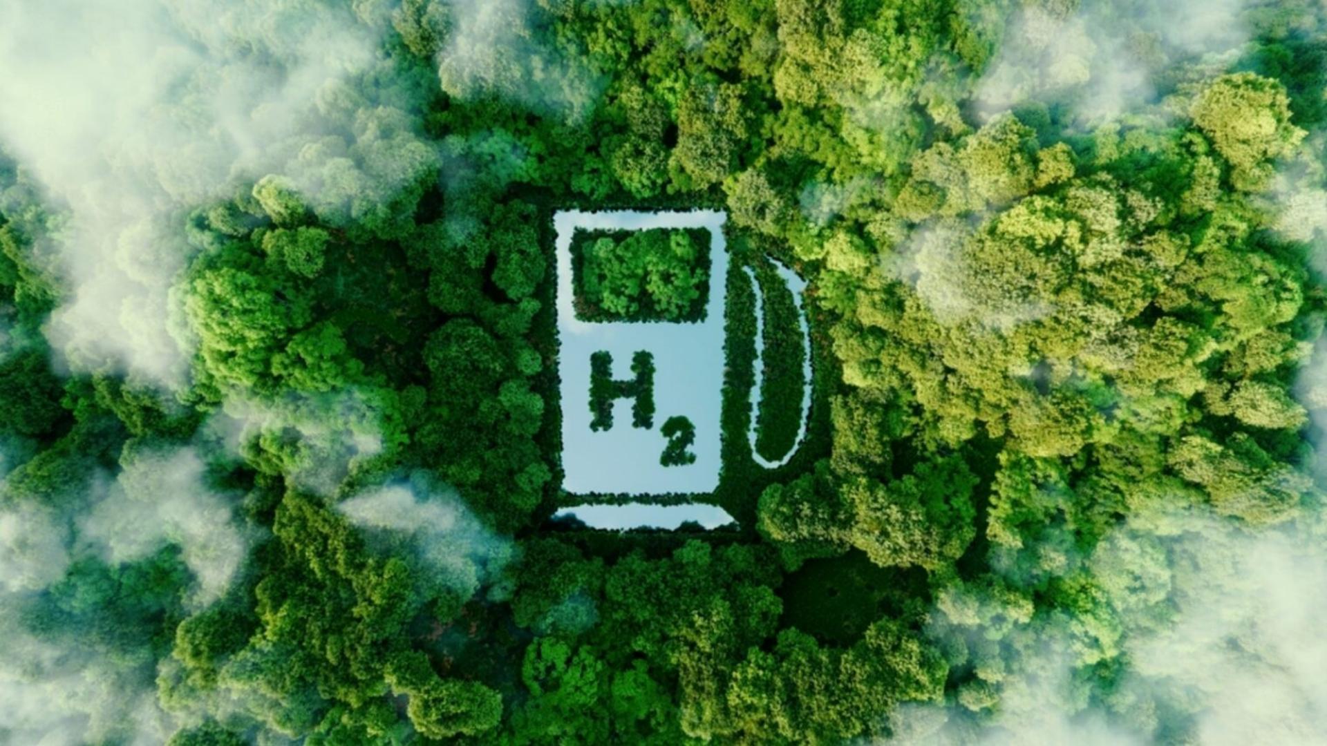 Hydrogen Fuel Cell Catalyst 3