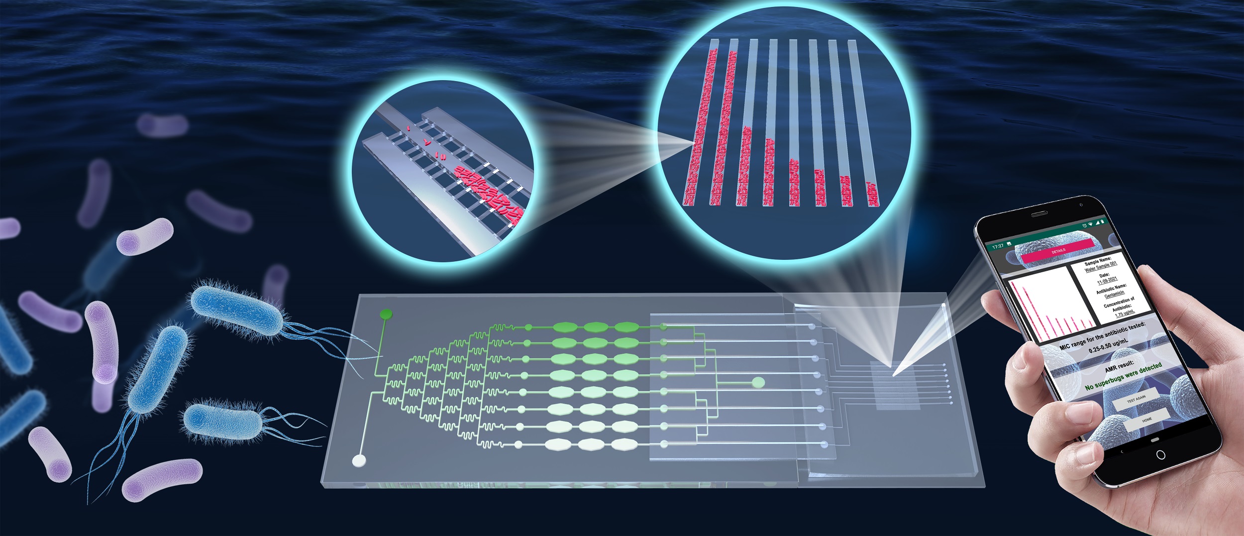 Antimicrobial susceptibility testing (AST) microfluidic system applicable in resource-limited conditions