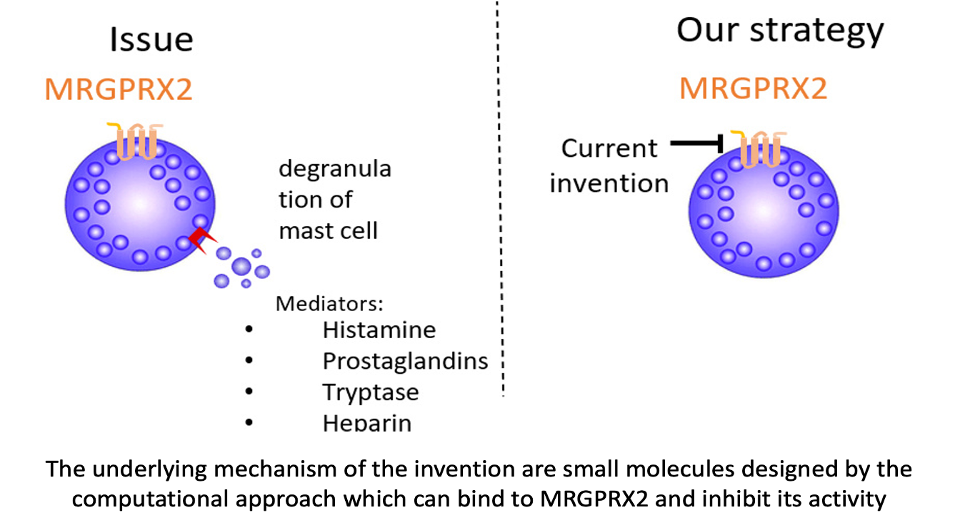 Novel Small Molecule MRGPRX2 Antagonists for the Treatment of Allergic Reactions