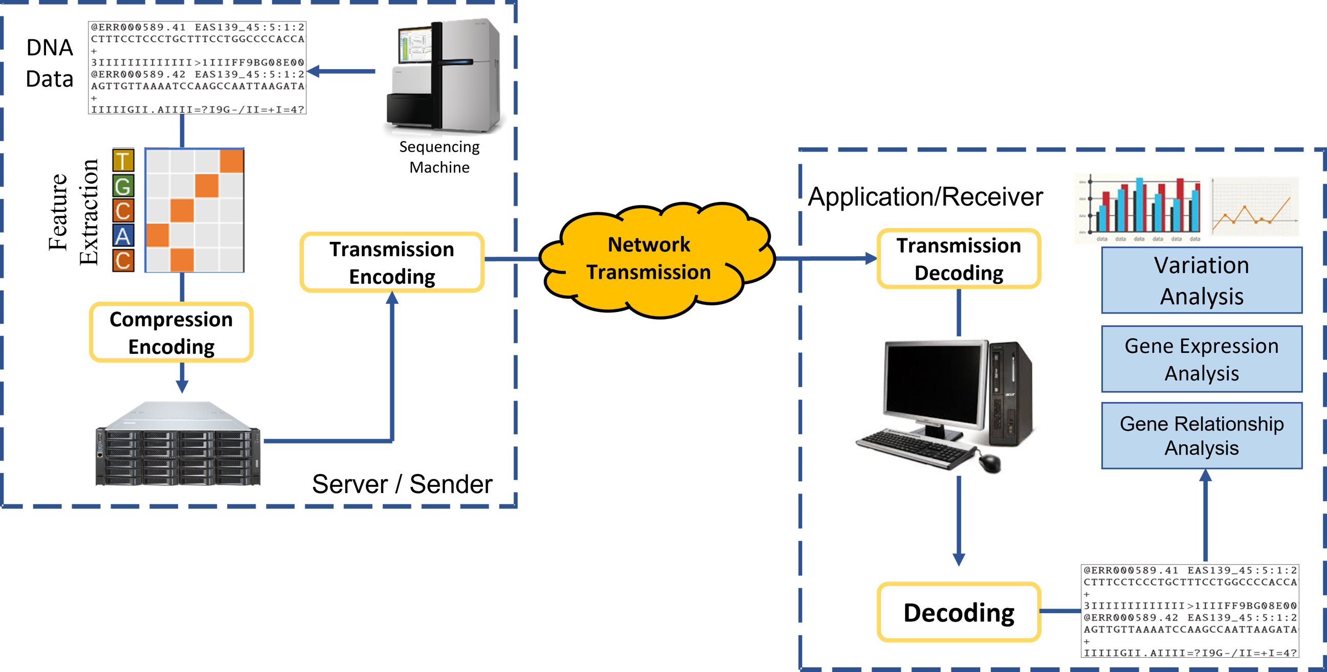 Learning-based Genome Codec