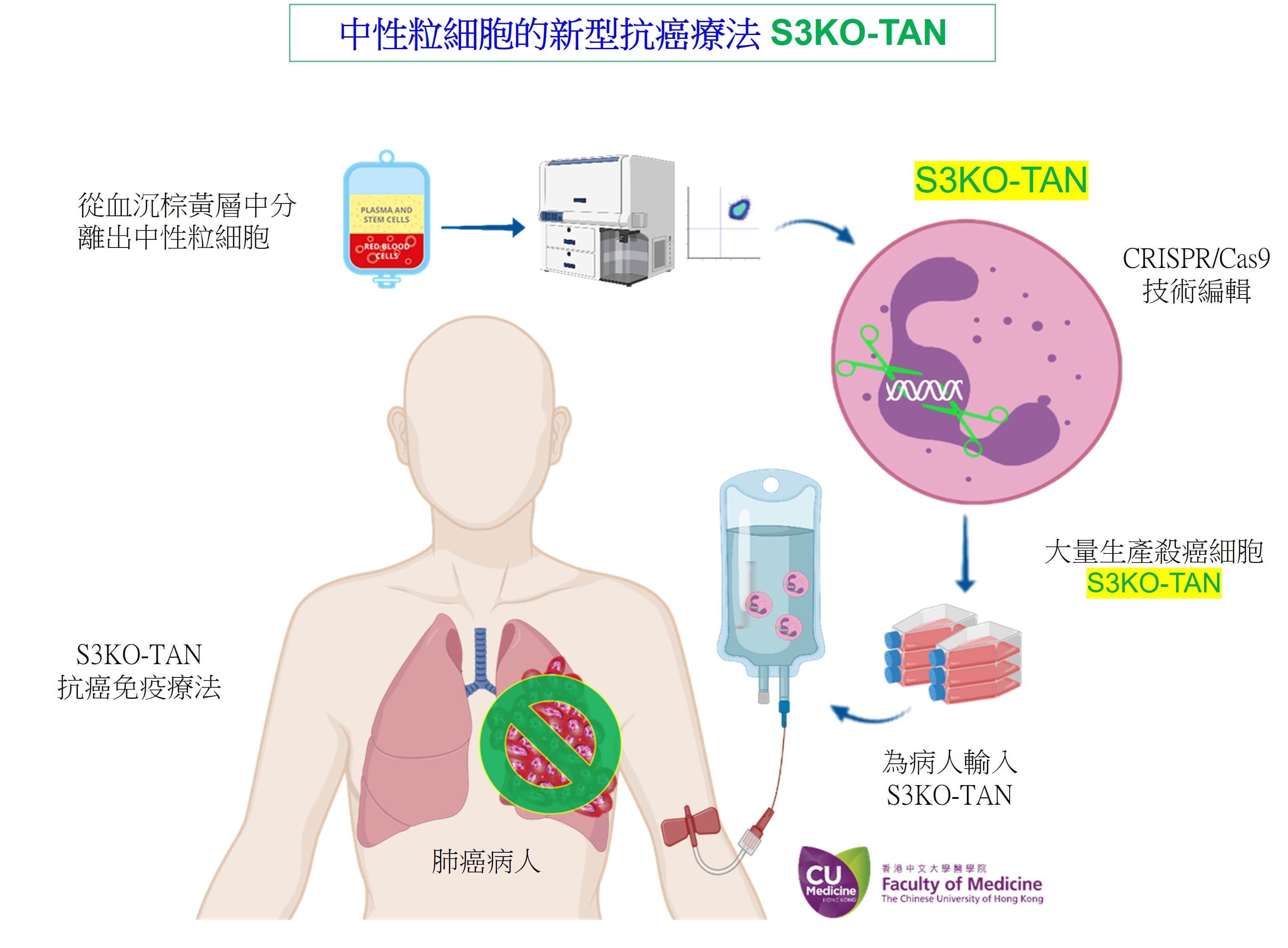 A Novel Neutrophil Anticancer Immunotherapy S3KO-TAN