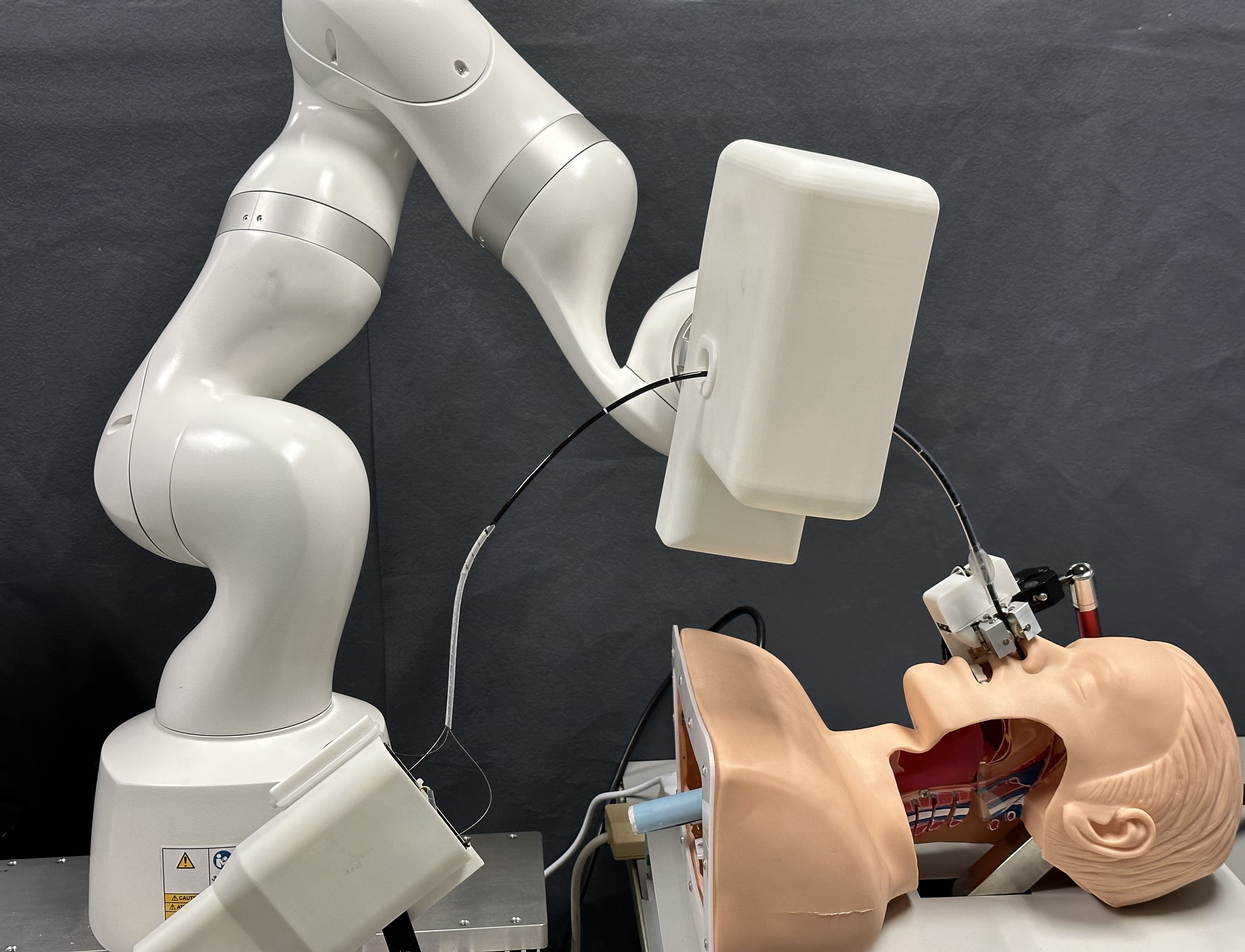 A Vision-Guided Nasotracheal Intubation Robot