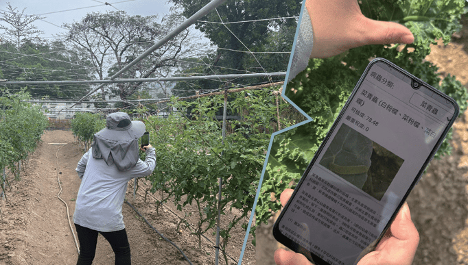 AI in Assisting Crop Pest and Disease Control