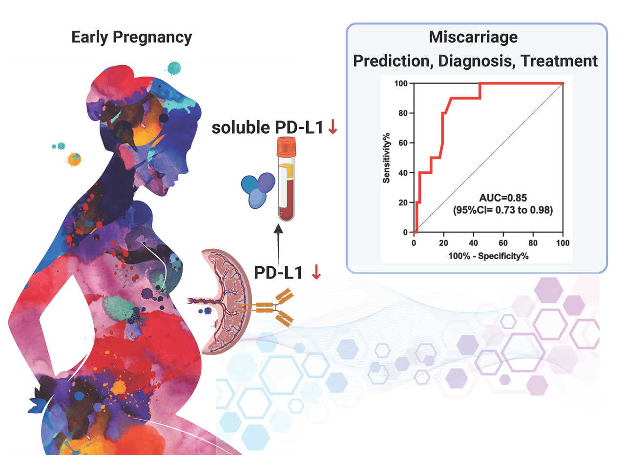 Advancing Miscarriage Prediction and Diagnosis by Blood Level of Soluble PD-L1