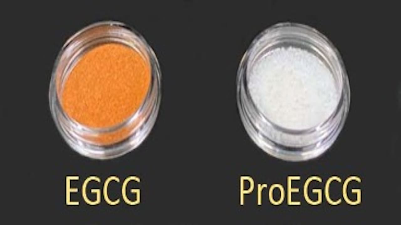 ProEGCG: A Prodrug to Relieve Menstrual Discomfort and Prevent Endometriosis