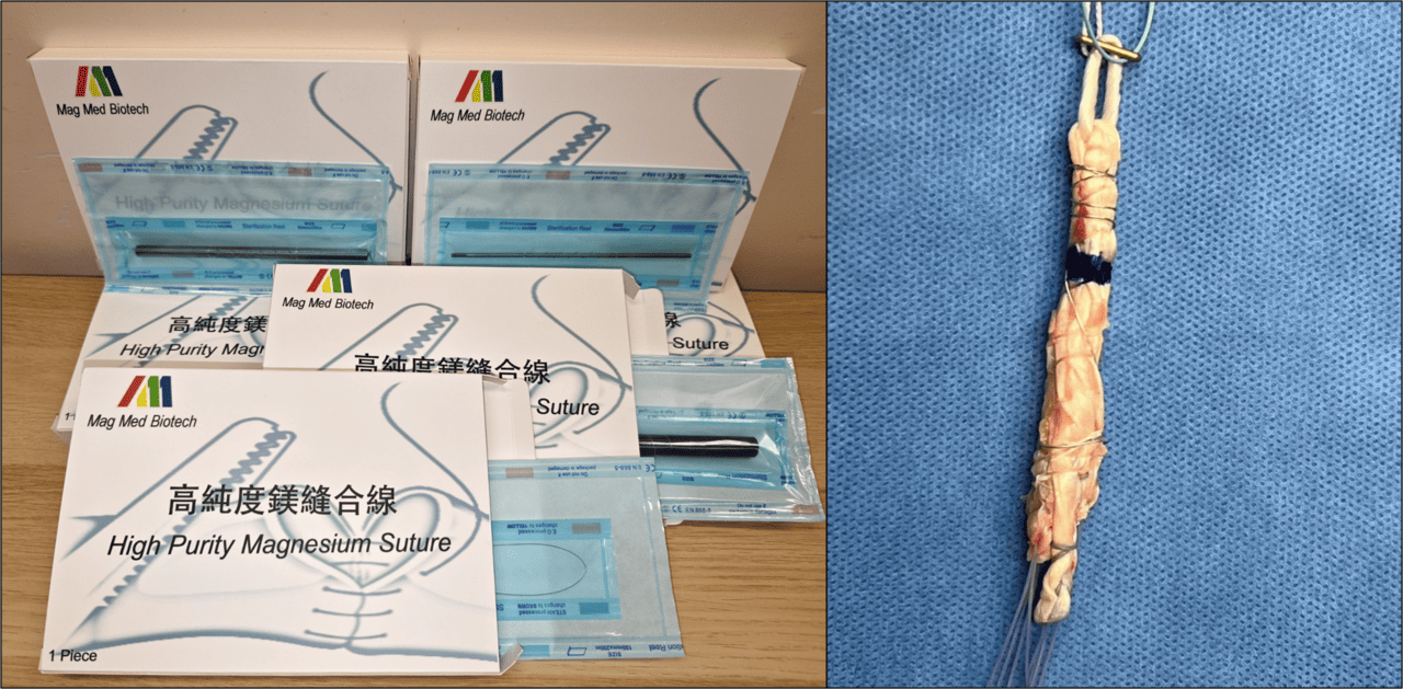 Regenerative Enhancers for Musculoskeletal Disorders