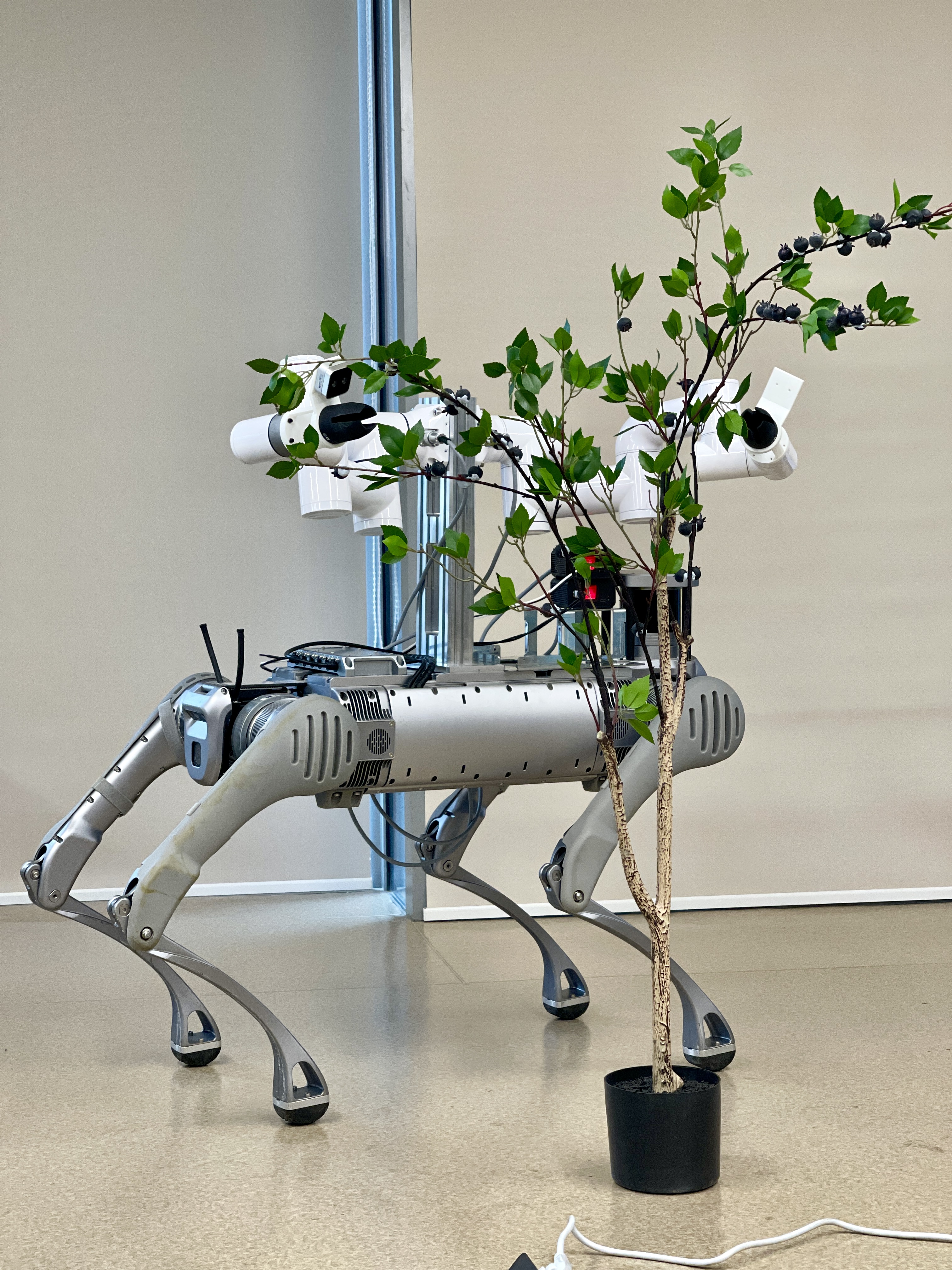 Blueberry Harvesting Robot