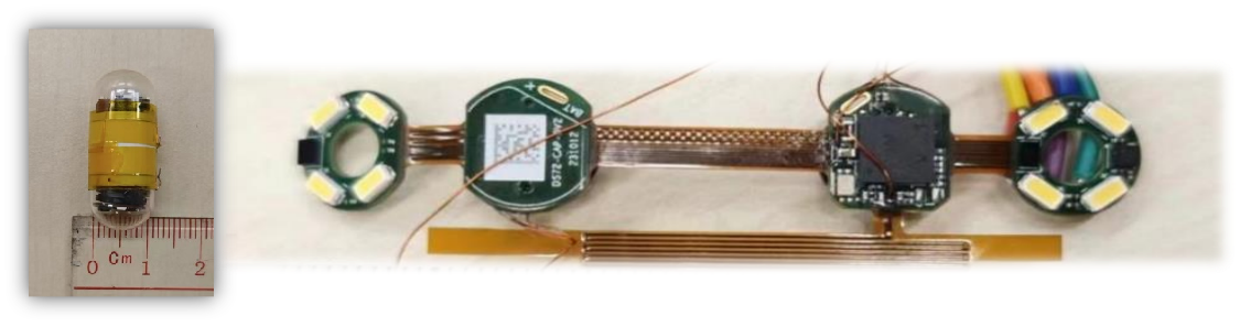 人體內高速數據傳輸用晶片系統(SoC)