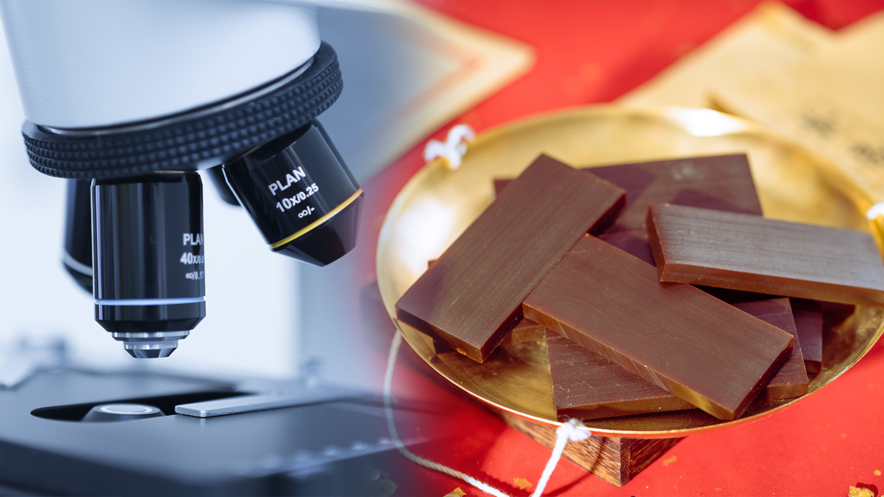 Peptide Markers for Authenticating Ejiao and Related Gelatins