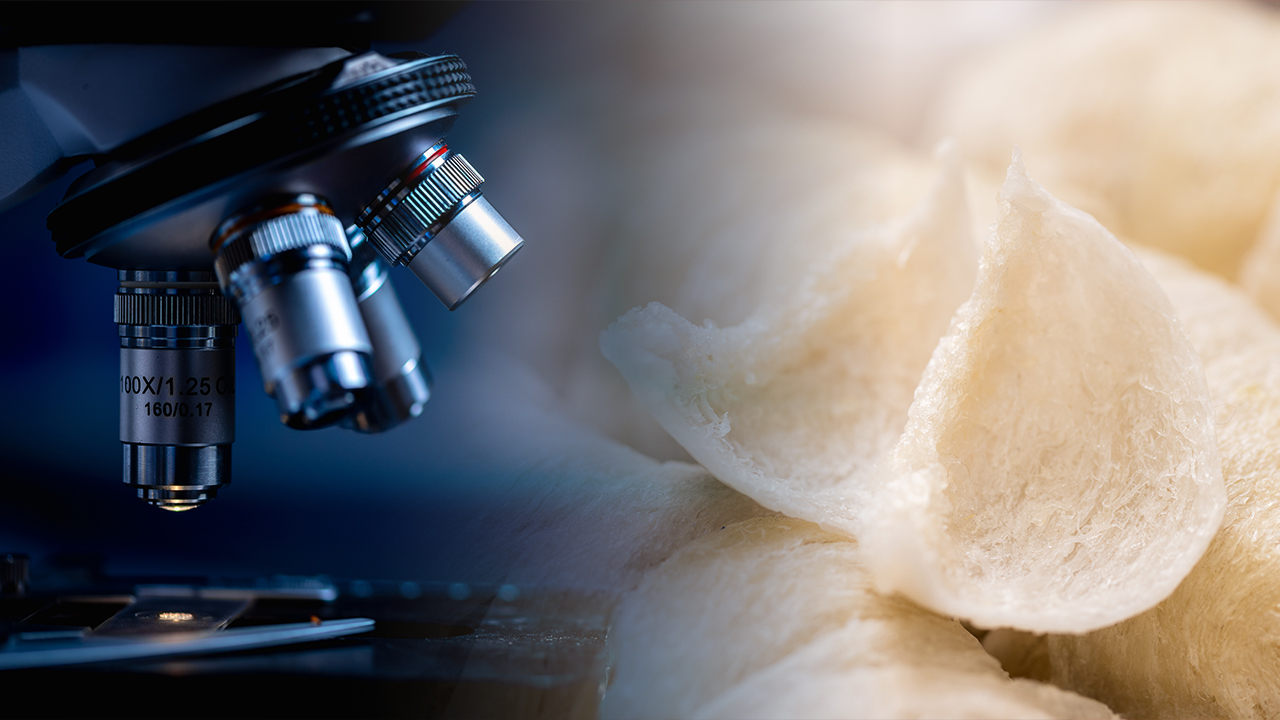 Peptide markers for authentication of edible bird's nest and related products