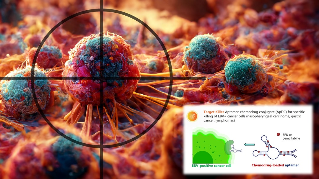Tumour-homing aptamers for targeted delivery of chemodrugs to nasopharyngeal carcinoma